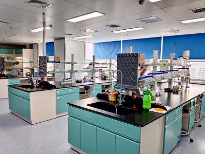 Како спречити гастроинтестинални едем болести свињетине?